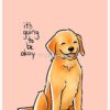 flat750x075f pad750x1000f8f8f8 11 - Golden Retriever Shop UK