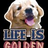 flat750x075f pad750x1000f8f8f8 5 - Golden Retriever Shop UK