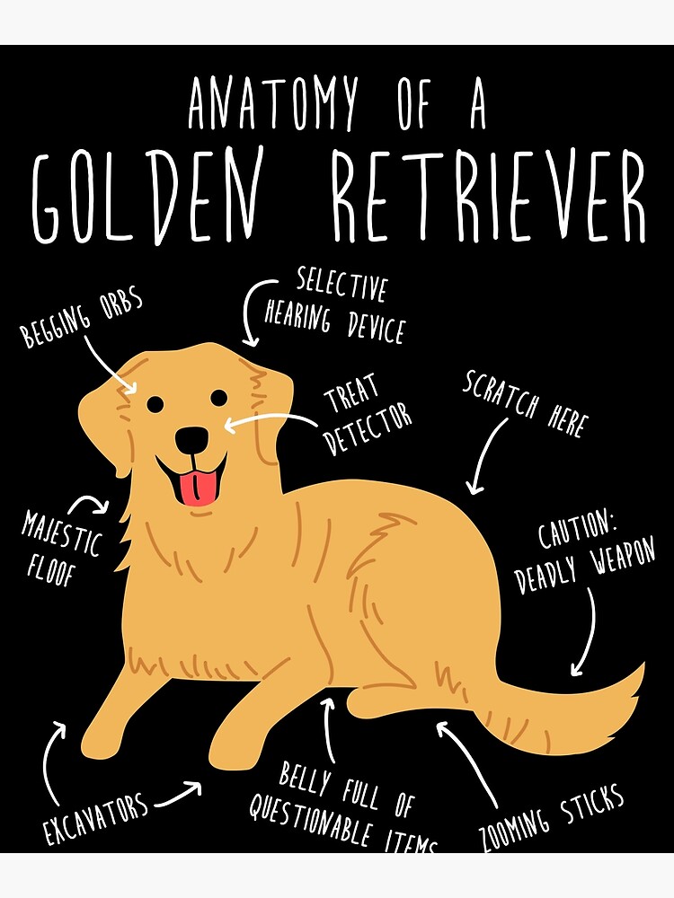 flat750x075f-pad750x1000f8f8f8-8 flat750x075f pad750x1000f8f8f8 8 - Golden Retriever Shop UK