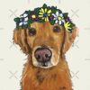 flat750x075f pad750x1000f8f8f8 9 - Golden Retriever Shop UK