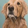 flat750x075f pad750x1000f8f8f8.u15 11 - Golden Retriever Shop UK