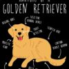 flat750x075f pad750x1000f8f8f8.u15 9 - Golden Retriever Shop UK
