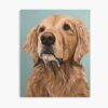 mp840x830mattef8f8f8t pad1000x1000f8f8f8 - Golden Retriever Shop UK