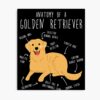 mp840x830mattef8f8f8t pad1000x1000f8f8f8 2 - Golden Retriever Shop UK