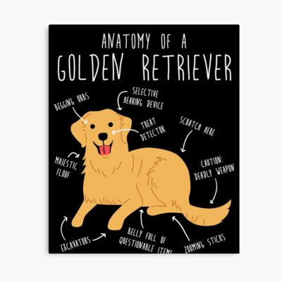 Golden Retriever Anatomy Design Poster
