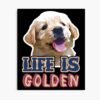 mp840x830mattef8f8f8t pad1000x1000f8f8f8 7 - Golden Retriever Shop UK