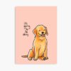 mp840x830mattef8f8f8t pad1000x1000f8f8f8 8 - Golden Retriever Shop UK