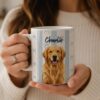 il fullxfull.8300879647 bo3c - Golden Retriever Shop UK
