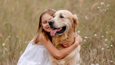 images 1 - Golden Retriever Shop UK